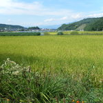 職人館 - 田園風景