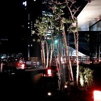 ゼックスウエスト ザ バー - 