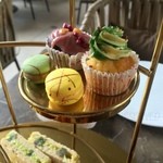 Shelter Italian Bar & Restaurant - 