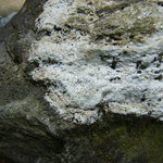 箱根 翠松園 - 入口付近の石のアップ