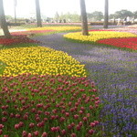 ひたち海浜公園中央口売店 - 