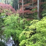 うかい鳥山 - ４月下旬〜奥が今回のはなれ