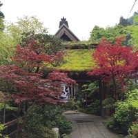 うかい鳥山 - ４月下旬