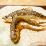 虎白 - 踊り稚鮎揚げ