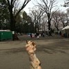 いせや 公園店