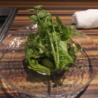 赤身焼肉USHIO - サラダ