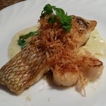 Resutoran Yamanakatei - 本日の魚料理「鮮魚とホタテのムニエル バジル風味のクリームソース」