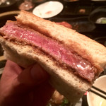 SATOブリアン - 2016/04_ブリカツサンド