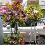 Homemade Ramen 麦苗 - 