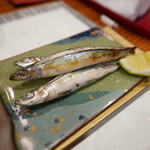 鮨匠 のむら - 子持ちきびなご