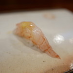 鮨匠 のむら - ナミクダヒゲエビ