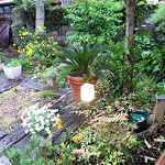 ナディア - 外観　その5