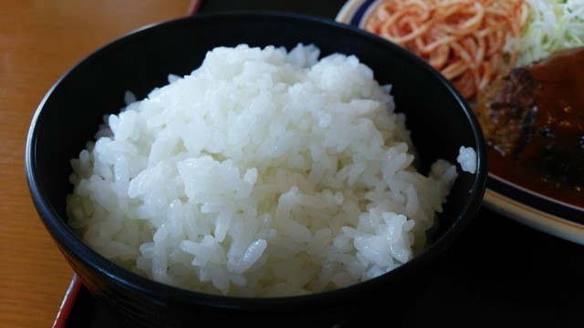 Gurirutakano Toyama Western Cuisine Tabelog Gurirutakano Toyama Western Cuisine Tabelog
