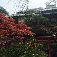 東京 芝 とうふ屋うかい - 