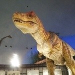 手打ちそば　八助 - 福井恐竜博物館