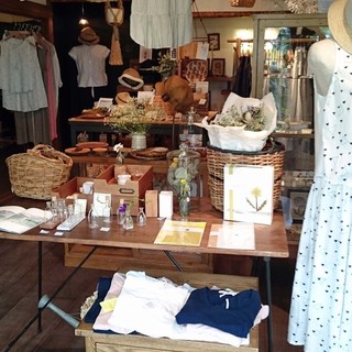 ダン-ドゥ-リオン_2