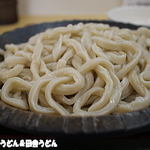 こんこ屋 - うどん