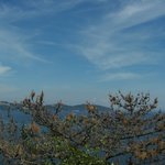 麦とろ童子 - 相模湾を望む店内もご馳走！