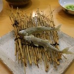 浅草じゅうろく - 稚鮎の天ぷら 店の厨房で泳いでます。