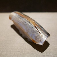 鮨 かわの - こはだ