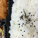 なかまつ - ご飯