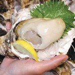 Ryoushi Goya - 超特大！舞鶴産岩牡蠣