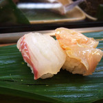 Sushi Shousuke - 鯛：赤貝