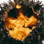 不動前 すし 岩澤 - 生ウニアップ