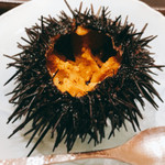 不動前 すし 岩澤 - 生ウニ！