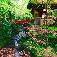 うかい鳥山 - ４月下旬