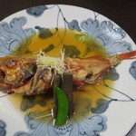 割烹 嶋村 - きんき煮付け