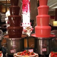 ロビーラウンジ 「マーブルラウンジ」 ヒルトン東京 - チョコレートファウンテン