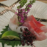 小料理 すず乃 - 千葉産金目鯛、北海道産やりいか、秋田産ひらめ