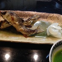 日本料理 櫻川 - 