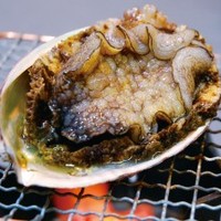あわびのステーキ・お造り