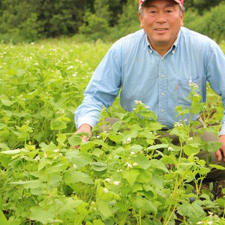 会津馬刺し 炭火焼鳥 門前仲町 彦酉_1