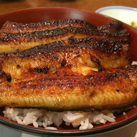 吉寅 - 