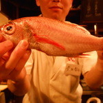 2016/4　別の板前さんがのど黒を披露♪