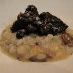 サーラ アマービレ - ポルチーニ茸のリゾット　和牛の煮込み　￥3,000
