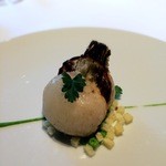 レフェルヴェソンス - 