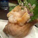 天ぷら　酒菜　醍醐 - つぶ・・。