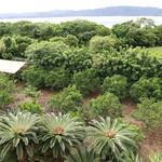 ヴィラ ゆりむん - 