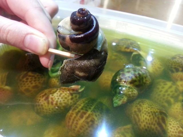 料理メニュー 移転 味の店 乃だや 銀座店 銀座 おでん 食べログ