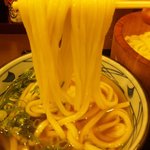 丸亀製麺 - 丸亀製麺町田　冷やかけうどん麺アップ