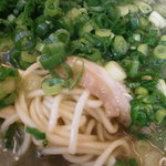 宮っ子ラーメン - ストレート麺