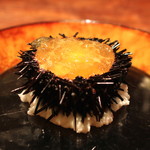 麻布 幸村 - 北海道産 紫雲丹の伊勢海老の煮凝り寄せ
