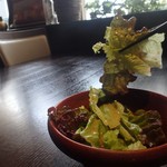 欧風料理屋ビストラ - 珍しい味のドレッシング