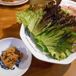 李朝園 - サンチュ