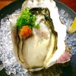 肴鮨菜 七伍のしん