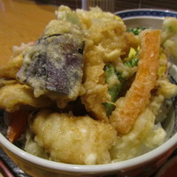 はも・天然ふぐ 銀座 福和 - ふぐ天丼　横から